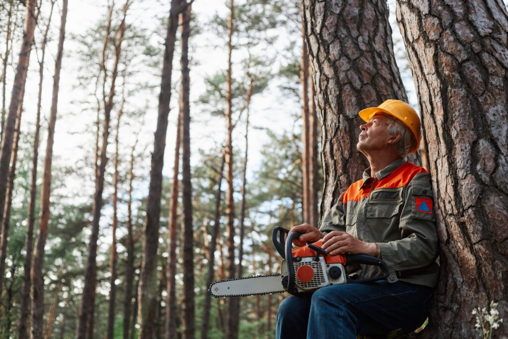 The Complete Guide to Tree Removal in Covington, GA