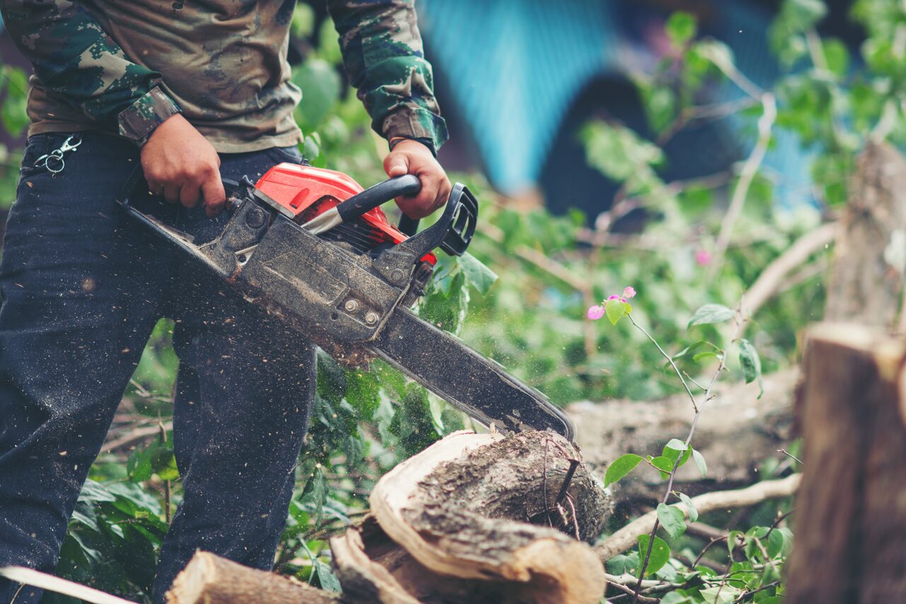 Site cleanup and land clearing service